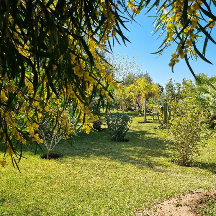 Riad Les Deux Citronniers Marrakesz Zewnętrze zdjęcie