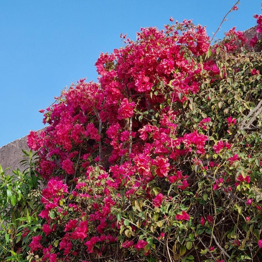 Riad Les Deux Citronniers Marrakesz Zewnętrze zdjęcie