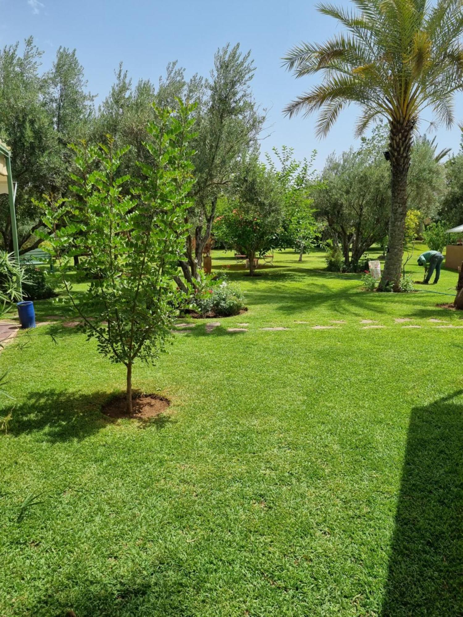 Riad Les Deux Citronniers Marrakesz Pokój zdjęcie