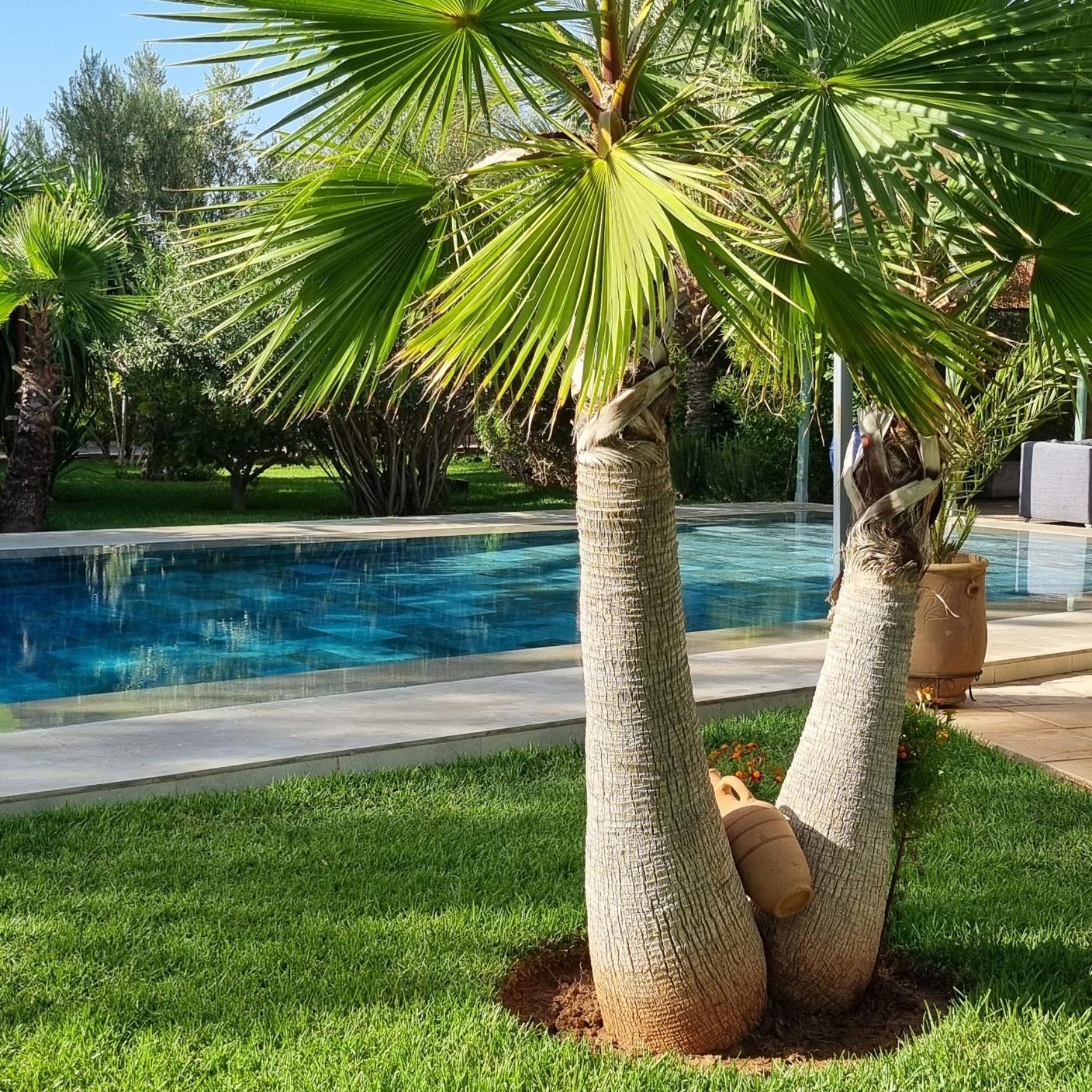 Riad Les Deux Citronniers Marrakesz Zewnętrze zdjęcie